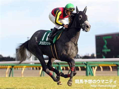 Feb 13, 2021 · no.1競馬サイト「netkeiba.com」がクイーンカップ(g3).2021年2月13日東京の競馬予想・結果・速報・日程・オッズ・出馬表・出走予定馬・払戻・注目馬・見どころ・調教・映像・有力馬の競馬最新情報をお届け！ クイーンステークス2021予想 - 過去10年の結果・歴史｜競馬予想 ...