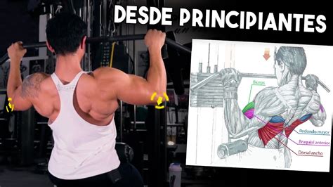 Dores Musculares Polea Al Pecho El Tutorial Más Completo Desde Cero