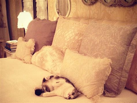 Taylor Swifts Bedroom Take A Look Inside Stylecaster