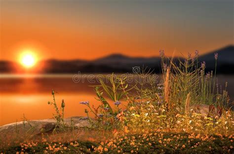 Sunset Sky Sun Beam Wild Flowers And Trees Mountain And Sea Water