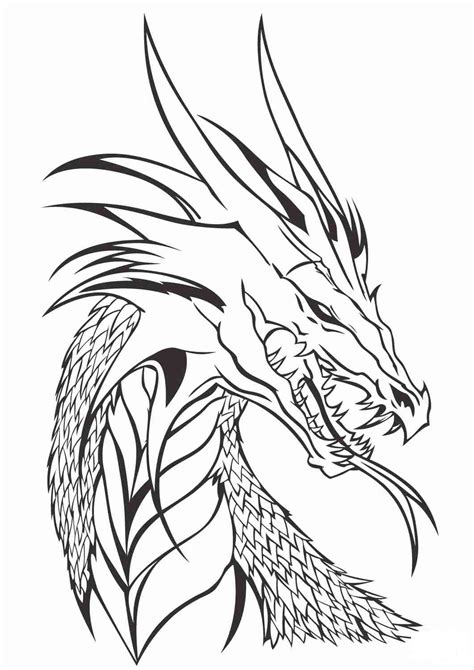 Disegni Di Draghi Da Colorare Easy Dragon Drawings Dragon Drawing My