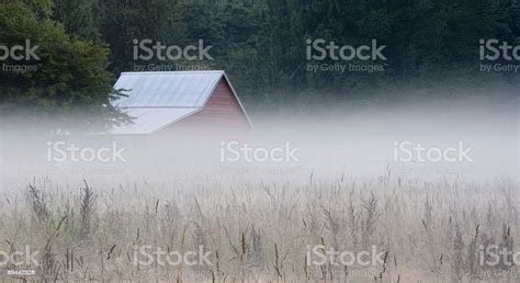 Little Red Barn Stock Photo Download Image Now Barn Fog