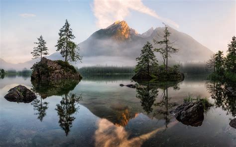 Nature Landscape Spring Lake Morning Forest Mist Trees Water Reflection