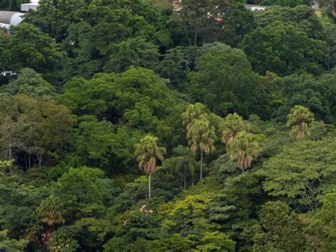 Costa Rica Impulsa La Creación De Ciudades Verdes En El País Revista