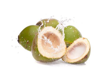 Green Coconut Stock Photos Pictures And Royalty Free Images Istock