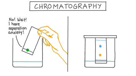 Lesson Video Chromatography Nagwa