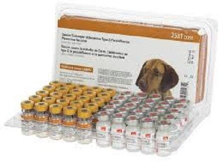 Booster Shots For Dogs - Dhpp Vaccine The 5 In 1 All Dogs Need I Love Veterinary | Morning
