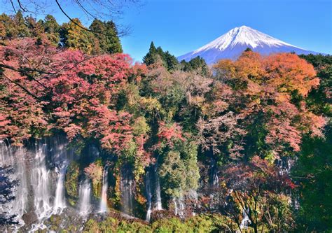 Shiraito Falls Experience The Sacred Waterfalls Below Mount Fuji｜the