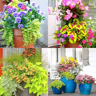 The ed of national gardening association, dave whitinger says. Colorful Mixed Pots Flower Gardening with 30+ Plant Lists ...