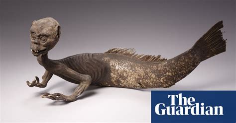 Mysterious Mermaid Stripped Naked Paolo Viscardi Science The Guardian