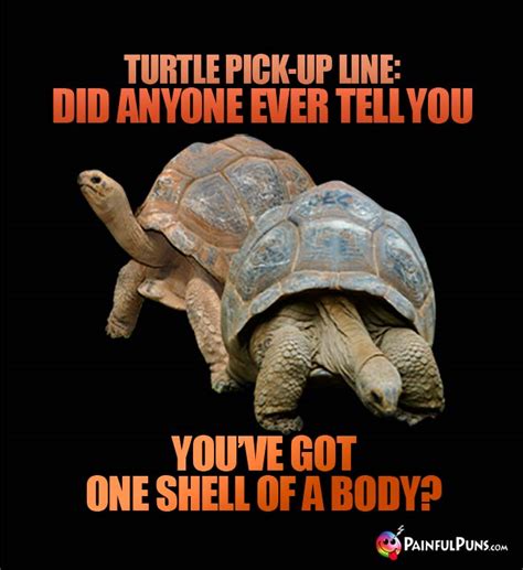 Turtle Jokes Tortoise Puns Terrapin Humor PainfulPuns Com