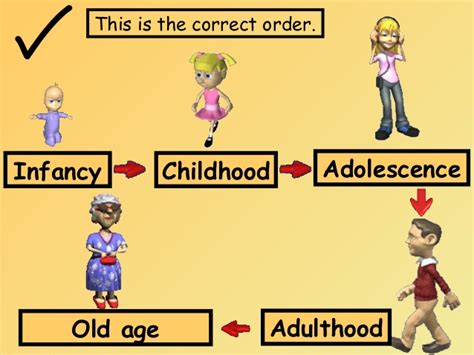 Maybe you would like to learn more about one of these? Pictures Of The Human Life Cycle - Wild Anal