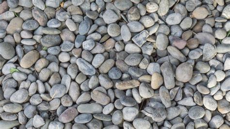 River Stones Background Texture Stock Image Image Of Design Detail