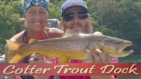Arkansas White River Trout Fishing Report August 28 2019 Youtube