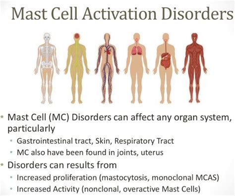 Mast Cell Activation Disorders Lasopabamboo
