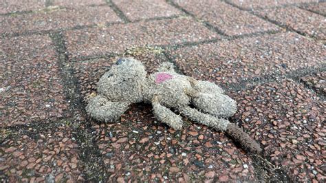 Free Images : tree, grass, plant, leaf, flower, frost, mouse, wildlife