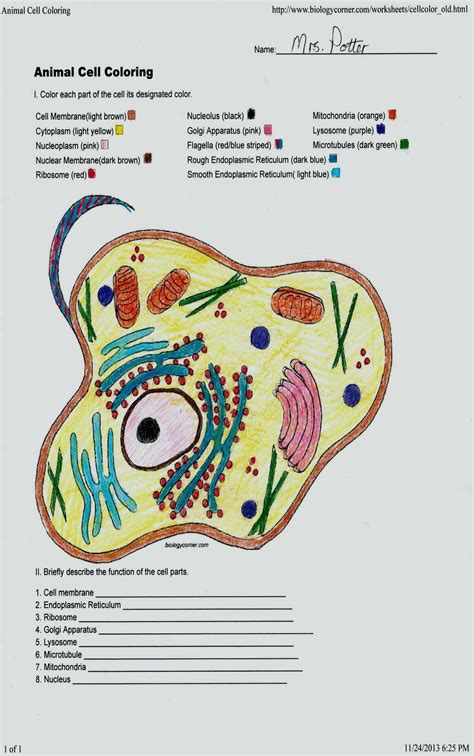Animal Cell Labeled Worksheets