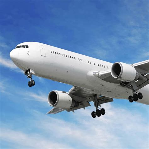 If you require pet transport services get in touch with pbs pet travel today. International Courier Services in Bangalore | Courier ...