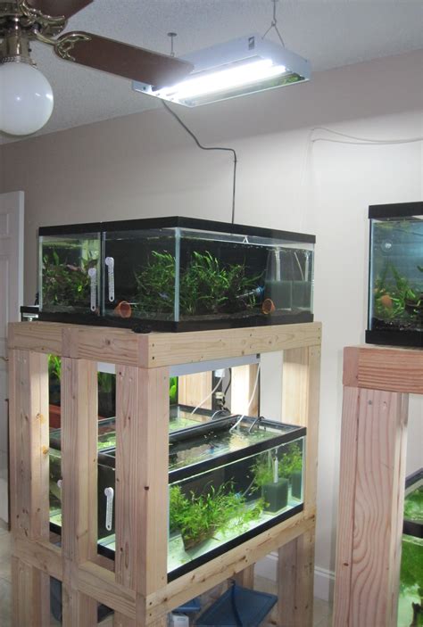 Diy Build An Aquarium Rack Aquarium Fish Aquarium Fish Tank