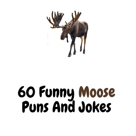 60 Funny Moose Puns And Jokes A Riot Of Humor