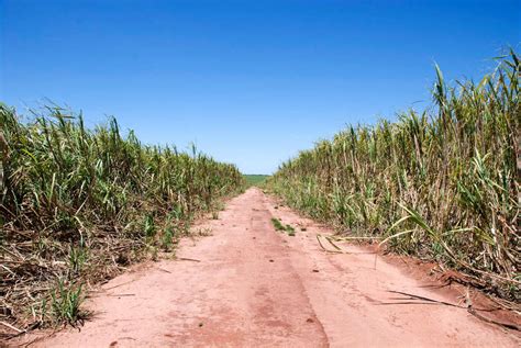 7500 guaraní van brazilië leven nu in reservaten. Vluchtelingen in eigen land - Survival International