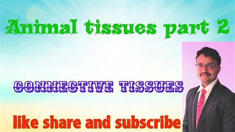 Connective Tissue Part 1 Youtube