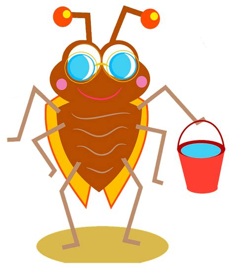 Beetle With Red Bucket Clipart Free Download Transparent Png Creazilla