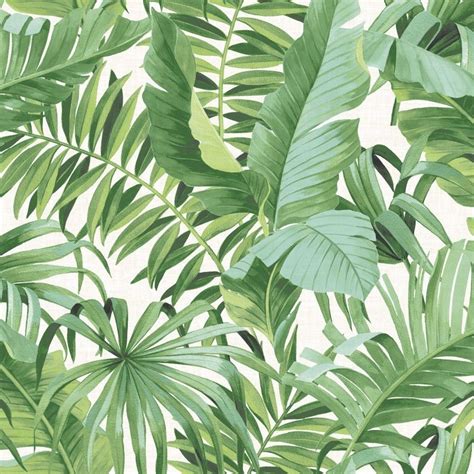 Tropical Palm Leaf Wallpapers Top Hình Ảnh Đẹp