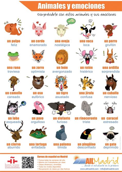 Learn Spanishaprende Español Online Vocabulariolos Animales Y Las