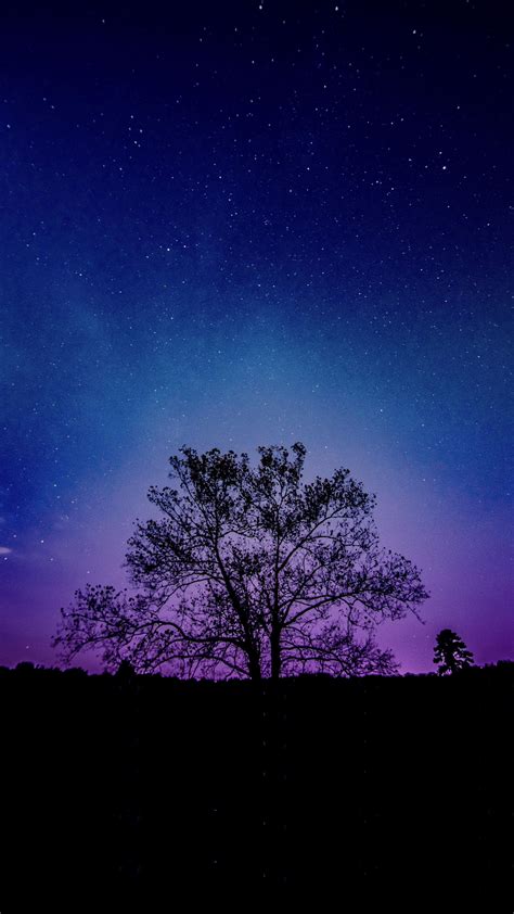 Download 2160x3840 Wallpaper Tree Galaxy Sky Silhouette 4К Sony