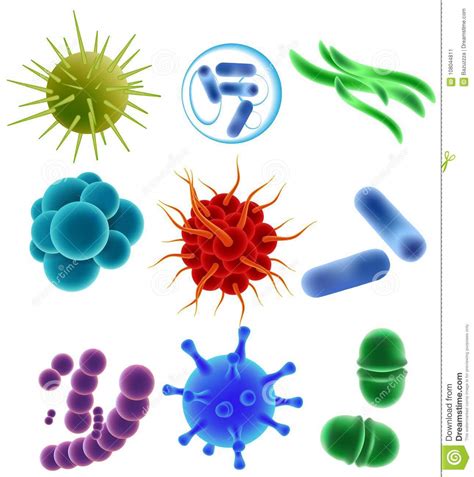 I batteri e i virus non sono come la maggior parte degli animali. Virus-, Bakterien- Und Mikrobenikonensatz, Vector ...