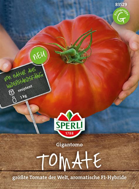 Tomato Gigantomo F1 My Organic World
