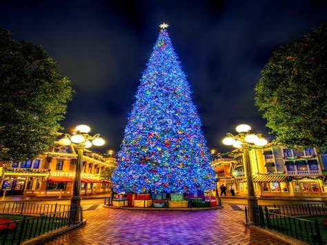 Download Town Square Blue Light Christmas Tree Holiday Christmas Hd