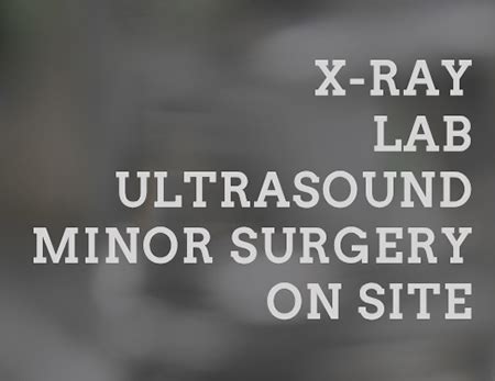 Click here to call us now. Miami Urgent Care Center™,Clinic Miami,Doctor Miami