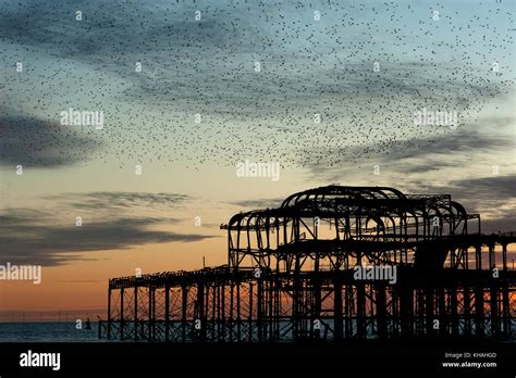 Murmuration Over The Ruins Of Brightons West Pier On The South Coast