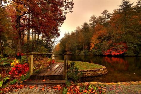 Forest River Autumn Bridge Wallpapers Hd Desktop And Mobile