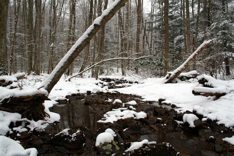 Snow Stream Creeks And Streams Free Nature Pictures By Forestwander