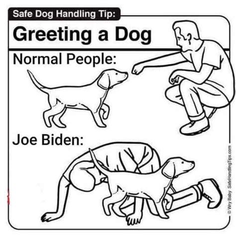 Joe Biden Meme Gallery Politically Incorrect Humor