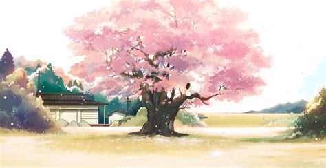 Cherry Blossoms Flowers Hanasei Original Scenic