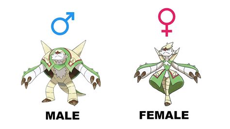 Chespin Quilladin Chesnaught Gender Difference Fanart