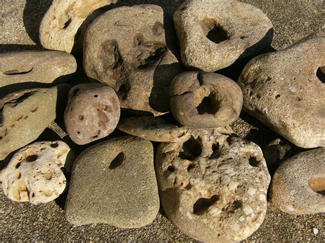 Unusual River Rocks With Holes And All Natural Creek Stones