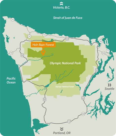 Visit the Hoh Rain Forest | Things To Do | The Olympic Peninsula