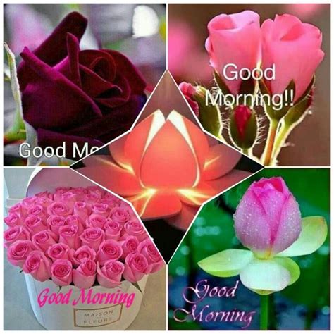 Here are 52 positive messages for monday mornings—one for each week of the year. -mojly-quotes-Beautiful-Morning-With-Flowers-wg16041 ...