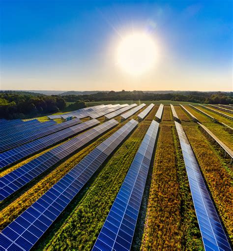 Fazenda Solar Saiba Sobre O Cultivo De Energia Limpa Bulbe Energia