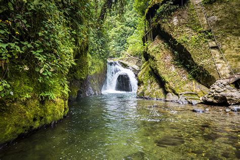 Photos Nature Nambillo River Mindo Moss Ecuador Waterfalls Rock