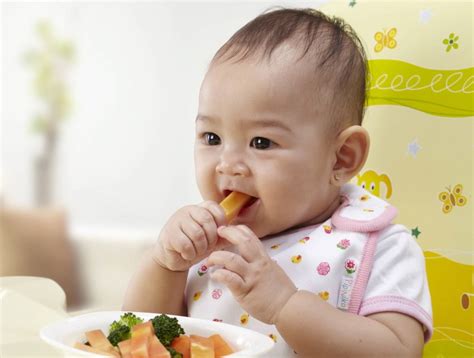 Pada umur 9 bulan ini cara membuat dan memberi makan bayi lebih mudah daripada umur 6 bulan, sebab saat ini sudah dianjurkan makan makanan yang lebih keras. Perkembangan Bayi: Tahapan Perkembangan Bayi Pada Usia 1-12 Bulan