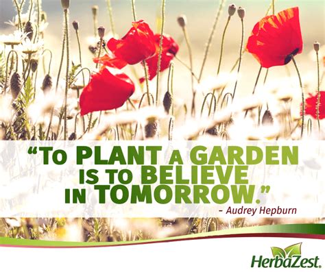 Quote To Plant A Garden Is To Believe In Tomorrow Herbazest
