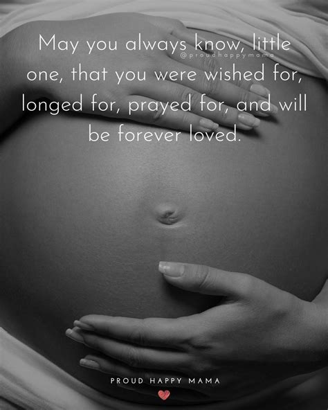Inspirational Pregnancy Quotes Pregnancy Is An Incredible Journey To