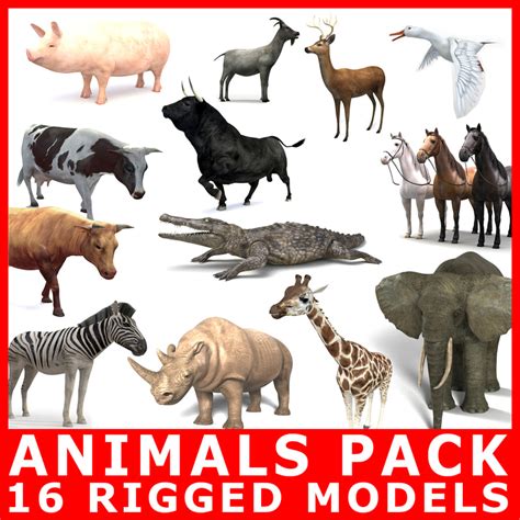 18 Animals Pack Rigging 3d Model Turbosquid 1203808