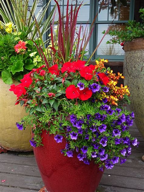 Find Many Fresh Planting Ideas For Your Containers In Our